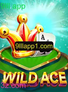 Desvendando o Jogo WildAce: Regras e Atrações